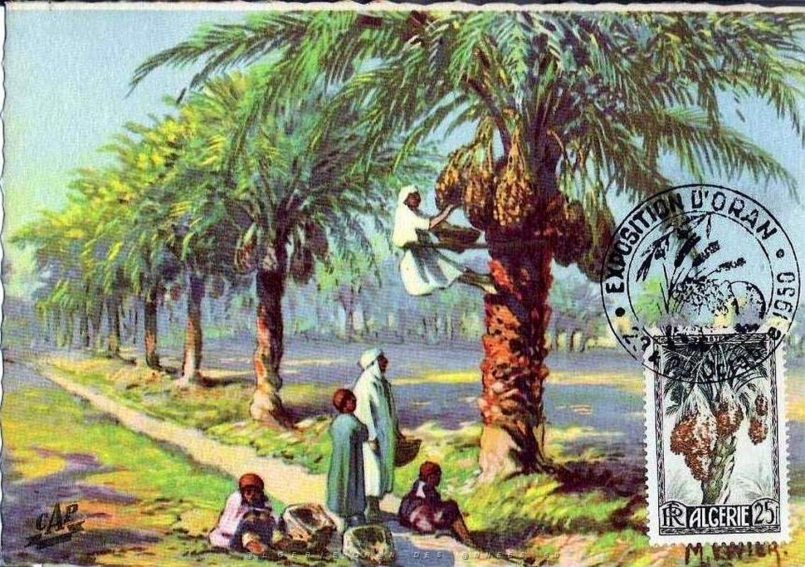 TIMBRES DE LA FOIRE D ORAN 1952   (8).jpg